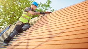 Best Roof Moss and Algae Removal  in Lorane, PA