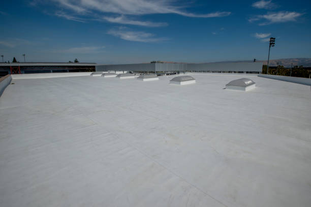 Best Gutter Installation and Repair  in Lorane, PA