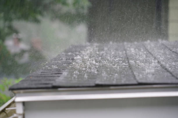 Best Roof Ventilation Installation  in Lorane, PA