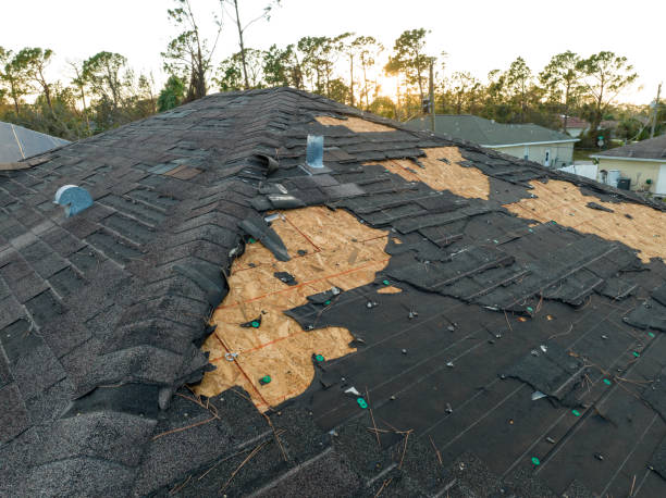Best Roof Maintenance and Cleaning  in Lorane, PA