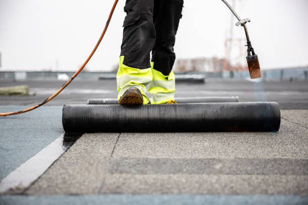 Best Steel Roofing  in Lorane, PA